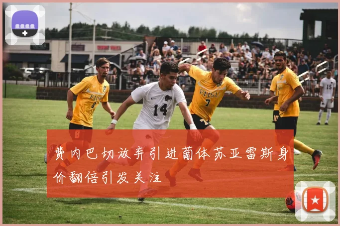费内巴切放弃引进葡体苏亚雷斯身价翻倍引发关注