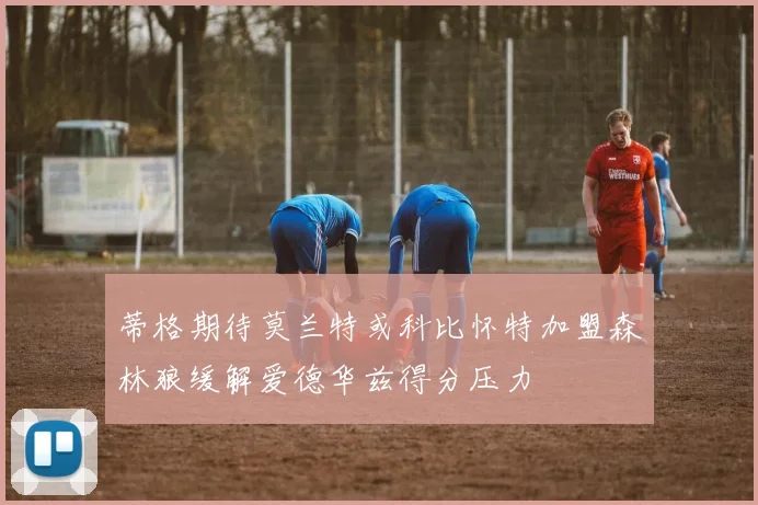 蒂格期待莫兰特或科比怀特加盟森林狼缓解爱德华兹得分压力