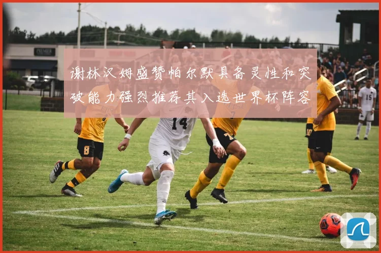 谢林汉姆盛赞帕尔默具备灵性和突破能力强烈推荐其入选世界杯阵容